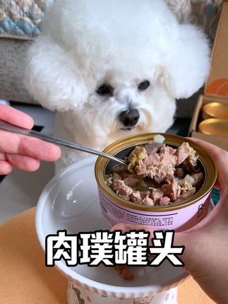 天天吃狗粮谁都会腻啊!这个罐头可以直接当主食吃也可以拌狗粮!真材实料跟自己做的狗饭一样香~#萌宠好物 #宠物零食 #狗罐头 #家有馋狗 #狗狗吃饭