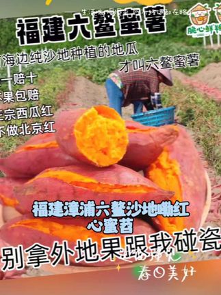 福建漳浦六鳌沙地红心蜜薯西瓜红地瓜洋芋番薯板栗小香署新鲜红薯 #营养液的营养成分表 #莠去津的功效与作用 #强烈推荐 #吃沙地蜜薯的好处