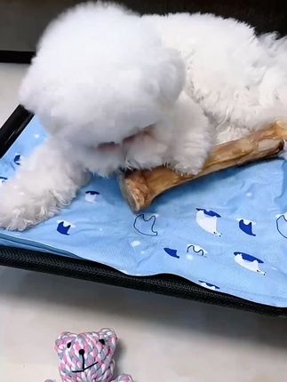 牛棒骨含有骨胶原蛋白,可以给狗子补钙,还可以磨牙洁齿,减少牙结石,祛除口腔异味#狗狗磨牙棒推荐 #狗零食 #萌宠好物 #牛骨 #补钙