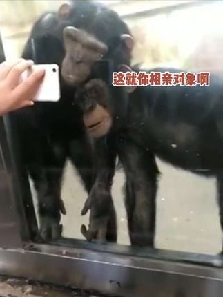 防火防盗防闺蜜啊! #搞笑配音