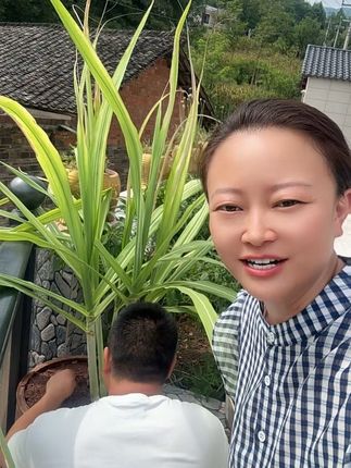 这种奇葩老公都有 虽然不爱说话,但喜欢一个人默默的去做一些他自己喜欢做的事情,牙膏非常的好用,放心去拍就可以了,发三只