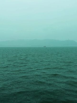 你问西湖水 偷走她的几分美 #你问西湖水偷走她的几分美 #雨西湖