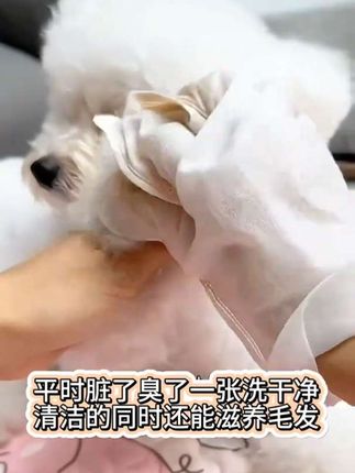 自用好物推荐,猫狗通用四季通用,一张洗一次澡省时省力,擦完有股淡淡的香味,不爱洗澡的毛孩子必备#宠物免洗手套推荐#养狗经验分享 #宠物用品 #毛孩子的日常
