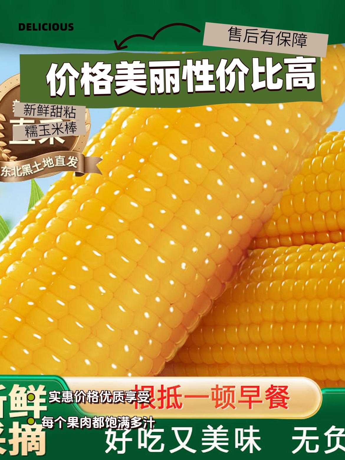 黄糯大棒苞米新鲜甜粘