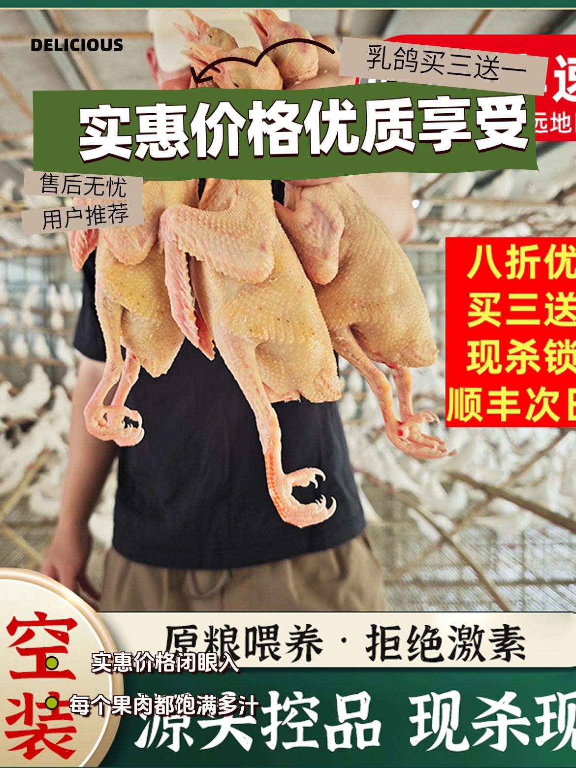 源头控品五谷肉鸽中鸽