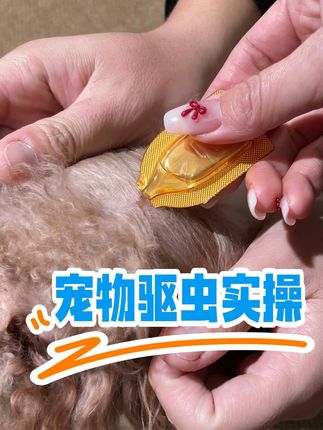 宠物驱虫实操来了! #猫咪 #狗狗 #驱虫 #宠物驱虫 #万物皆有灵性