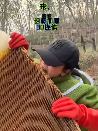 一款惹了蜜蜂不用怕的防蜂服,悬崖取蜜的兄弟都用它~ 加厚3D蜜蜂服,惹了蜜蜂不用怕,夏季凉爽透气,售后无忧~~#悬崖取蜜 #养蜂人 #蜜蜂养殖 #防蜂衣服 #防蜂衣全套养蜂服