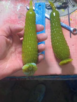 顶花带刺的小绿黄瓜,喜欢的定制