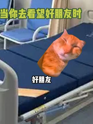 当我探望朋友时 #猫meme #抽象 #二次元 #动漫 #万万没想到