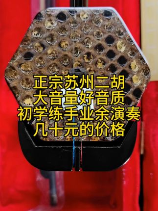 学二胡就选这家!音色纯正,轻松过考级! 想学习民族音乐却不知咋入门?这款乐器帮你搞定!