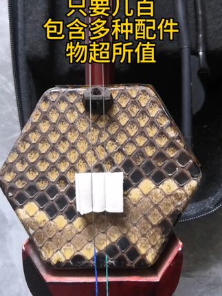 专业演奏级二胡,考级必备神器! 想学好民族音乐却没合适乐器?这款民族拉弦乐器帮你解决!