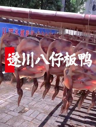 2025年正宗遂川八仔腊板鸭新上市啦~ 红毛鸭作料,时光酿香 —— 八仔板鸭,是遂川最地道的腊味名片#遂川板鸭 #家常菜 #家乡特产 #腊味 #各省有自己的丰收美食