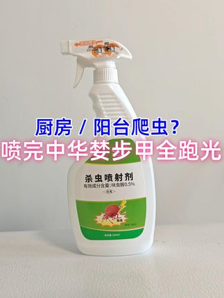 家里虫子乱飞?这款杀虫喷雾轻松搞定! 家里有这种黑色的小飞虫太闹心了!试试这款杀虫好物吧!#强烈推荐#居家必备#除虫灭鼠#除四害#杀虫剂