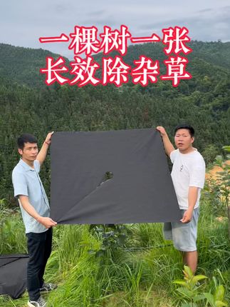 果园除草太头疼?这款防草布轻松搞定! 园艺爱好者们!这种好物一定要试试,能有效防止杂草生长!#防草布 #果园除草 #农业技术推广 #三农 