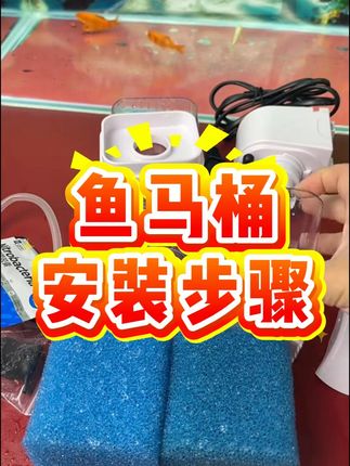 1分钟带你学会鱼马桶安装视频 养鱼总担心水质不好?试试这款小工具!自动集便强力过滤,养鱼不费劲#鱼马桶 #鱼获满满 #鱼马桶鱼缸 #鱼具 #鱼缸过滤