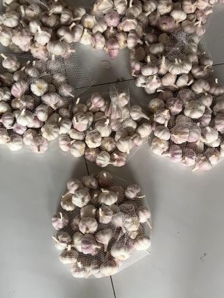 2025年新干蒜 发货前严格筛选 保质保量发货