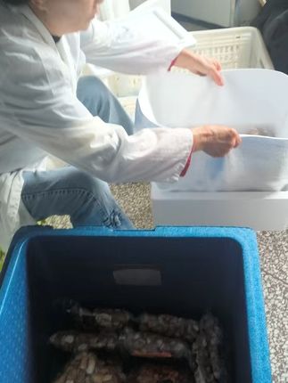 屯堡风味来袭!烧烤夜宵新宠烤小肠尝鲜啦! 今天又做了很多好吃的小吃!有需要的朋友赶紧来下单吧!!#当美食有了音乐灵魂#卡美罗自制大赛#一人多角演绎苏超各个城市#这个暑假一起去趟西安吧#减脂期做饭有多简单