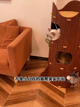 几十块的猫窝性价比居然这么高 #猫窝 #猫爬架 #萌宠好物