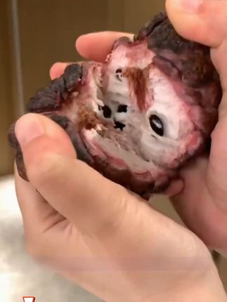 鲜果控必看!海南直发玫瑰红释迦果太香甜了 今天又是一个忙碌的一天!感谢大家的支持与信任!!!#水果#现摘现发新鲜到家#新鲜采摘#新鲜应季水果#夏天来点元气感爆棚的水果