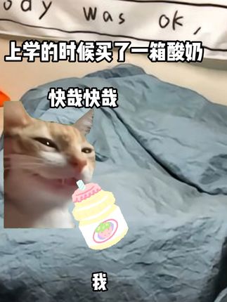 当你买了一箱酸奶 #猫meme #二次元 #手办 #抽象 #猎奇