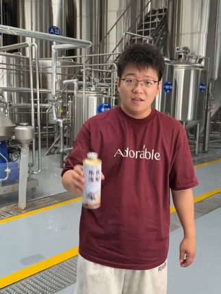 东北冻梨精酿啤酒 源头酒厂刚刚入驻,线下一箱的价格现在带走两箱!