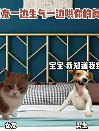 当男生生气时哄你 #猫meme #二次元 #无敌帧 #手办 #抽象