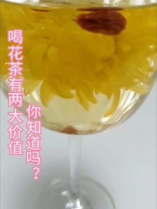 女神都在喝的黄山金丝皇菊,一杯净爽无尘! 喝花茶的好处你知道吗?#男神女神都在喝。
