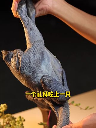 再也不怕买错!劳模大叔散养乌鸡,免费退超放心 今天下午四点半开始发货了! 近一个月来每天都有上万以上的运费险! 可以放心下单啦!!#减肥界有自己的邪修#邪修做饭有多简单#各地凉快美食申请出战#贵州究竟有多少好吃的城市#柠檬鸡爪的邪修做法