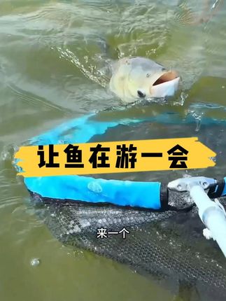 高弹性,轻手感,大钓重,吉恩A100轻量大物 今天下午两点到晚上八点!有需要的朋友抓紧时间下单吧!!!