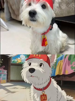 麦当劳限定小狗项链,粉丝必收! 麦当劳联名款小物件来啦!快来看看你的狗狗喜欢哪一款吧~#麦当劳 #项链控 #s #m #情侣