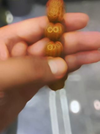 桃核手串,老树精华,戴上它气质提升! 精品老树金丹桃核来啦!数量不多哦~喜欢的老乡们抓紧时间下手吧!!#文玩#文玩手串#手串#文玩爱好者#桃核
