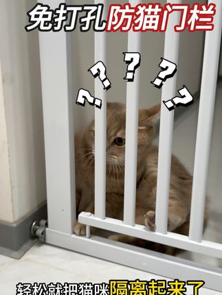 再也不怕猫咪乱跑!免打孔宠物围栏,养宠家庭一定不要错过~ 家里猫毛满天飞,猫咪喜欢乱跑,一不小心变成流浪猫,这款门栏解决了我的烦恼,免打孔设计,双向开门自动回关,真的是太棒啦!#宠物围栏 #萌宠好物 #猫门 #拦猫神器 #围栏护栏