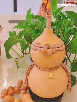 存钱小能手,葫芦包包来帮你! 葫芦包包来了,有需要的宝子们抓紧时间下单吧!!!#好物推荐🔥#文玩#葫芦#文玩核桃#收藏