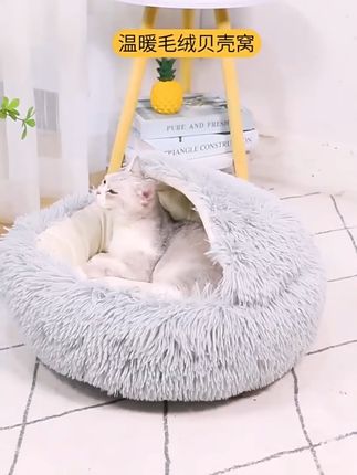 天冷了,快给孩子准备一个温暖的小窝吧!这款贝壳窝窝不仅好看还很暖和哦~#猫咪 #萌宠 #猫窝 #猫窝冬季 #当我给猫猫买了个蜂蜜罐猫窝