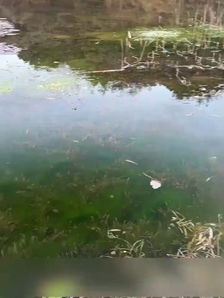 拍出大片效果!手机摄影偏光镜,不满意就退! 拍风景总担心反光刺眼?试试这款能防强光、增色彩的专业滤镜!#iphone#3c好物推荐#滤镜#如何拍出旅行氛围感