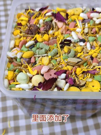 告别挑食!仓鼠最爱的冻干粮来啦~ #冻干粮 #美食分享 #粮食 #鼠鼠我呀