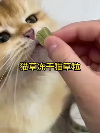 猫咪磨牙不愁,懒人必备包邮到家! 这个季节一定要备上一盒!冬天是猫吃草最多的季节了~现在下单还包运费哦!!#超便宜超划算#好物推荐🔥#猫咪#宠物零食#猫冻干