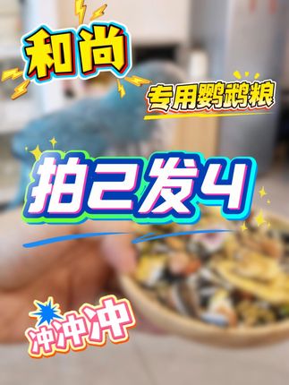 担心和尚鹦鹉营养单一?少黍配方粮科学配比多种营养元素,满足日常所需~再搭配赠送的蛋黄颗粒补蛋白,油葵瓜子补油脂,全方位养出健康鹦鹉!#和尚鹦鹉 #鹦鹉 #鹦鹉鹦鹉萌萌哒逗鹦鹉 #鹦鹉日常 #开元鸟粮