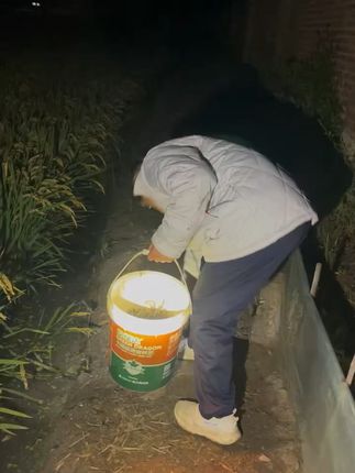 盘锦河蟹顺丰到家,鲜美蟹肉等你尝! 只卖自家精心养殖的正宗盘锦稻田蟹,如此浑浊的行业市场,一定要认准我!因为我家这螃蟹真特别好吃!无法形容的好吃#舌尖上的抖音:丰收的味道在抖音 #正宗稻田蟹 