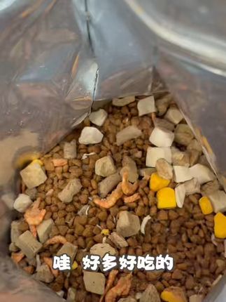 猫咪吃了这猫粮,发腮亮毛还增肥!包邮退货无忧 宠物粮活动来啦!下单即送运费险,拍一单等于两单哦~#萌宠#猫粮推荐#猫粮#猫咪#鲜肉猫粮