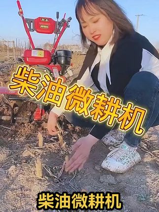 水旱两用柴油微耕机能除草开沟旋地 柴油微耕机#柴油微耕机 
