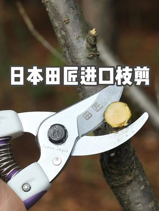 日本田匠进口园艺剪刀神器,剪枝轻松不费力! #园林工具 #枝剪