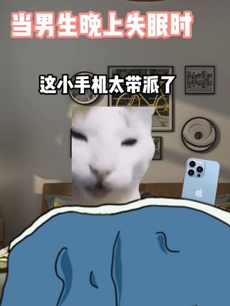 当男生晚上睡不着时 #猫meme #cos #二次元 #抽象 #猎奇