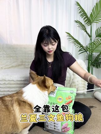 狗狗吃出漂亮毛发!美味又健康的兰夏三文鱼狗粮~ #狗狗美毛吃什么 #兰夏三文鱼狗粮 #狗粮推荐 #养狗人