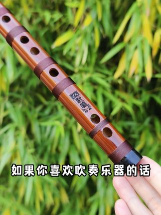 吹出专业音色,轻松过考级! 想学好民族吹奏乐器却不知咋入门?这款神器帮你搞定!#民族乐器#笛子#竹笛#零基础教学#民乐