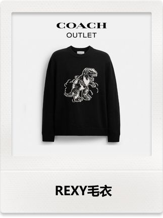 REXY毛衣,恐龙图案超吸睛,黑色百搭,质感在线,潮人必备~#coach服饰