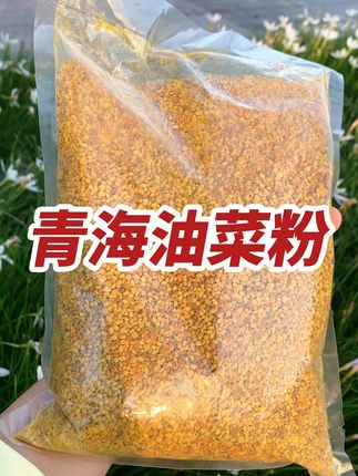 支持检测,不掺假 #花粉 #蜜蜂养殖 #油菜粉 #喂蜂花粉