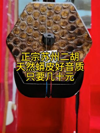 传统音乐的魅力,从这把红木二胡开始! 想学好民族音乐却没合适工具?这款乐器帮你解决难题!#秋季遛娃好搭子