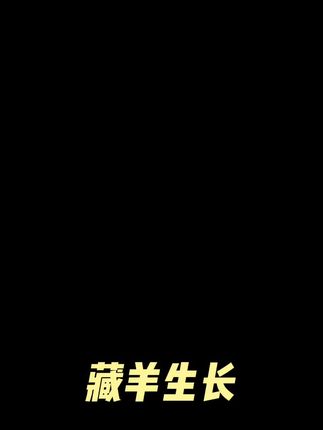 新鲜藏羊羔肉肉串。青海高海拔散养肉串送货上门 #就来这里过夏天 