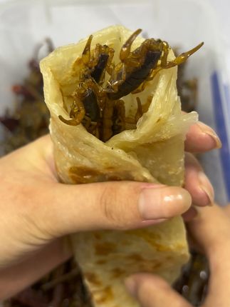 洛膜卷麻辣全蝎,真宣 今天又做了满满一锅美味零食!有吃过这种虫子吗?喜欢吃的评论区留言哦~#解锁简单又好吃的香辣猪蹄#深夜的快乐是夜宵给的#滋滋冒油的烤牛肠有多好吃#谁能拒绝湘菜呢#在景德镇吃顿江西小炒要花多少钱